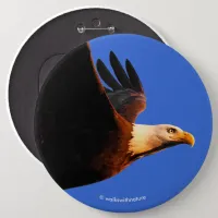 Breathtaking Bald Eagle in Winter Sunset Flight Button