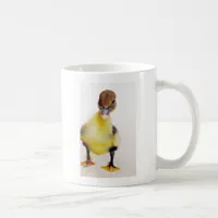 Muscovy Duckling Coffee Mug