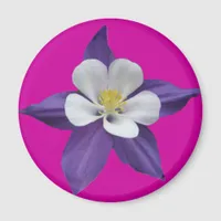 Columbine Purple and White Flower Magnet