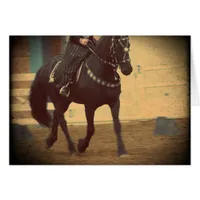 Dream Horse Friesian Dressage