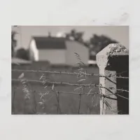 Rural Fence Post Postcard