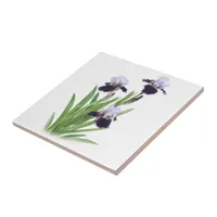 Purple Bearded Iris Trio Floral Botanical Art Tile