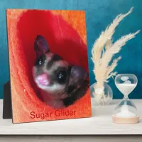 Sugar Glider in Orange Hanging Bed Plaque