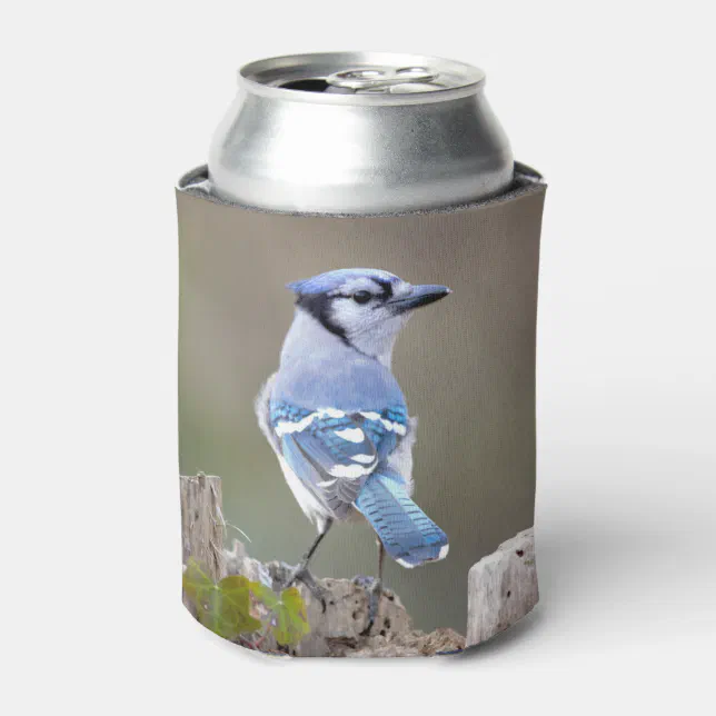 Cute Blue Jay Songbird on Treestump Can Cooler