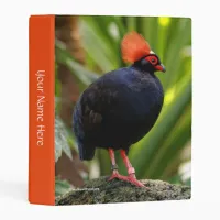 Profile of a Roul-Roul Crested Wood Partridge Mini Binder