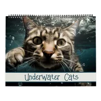 Underwater Cats Funny Photography Calendar