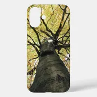 Treetop from Below - Tree of Life iPhone 16 Plus Case