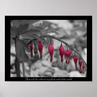 Red Bleeding Hearts Poster