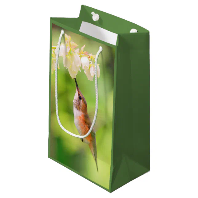 Rufous Hummingbird Sips Blueberry Flower Nectar Small Gift Bag