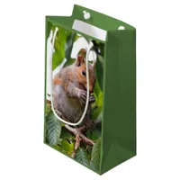 Cute Cherry Picking Eastern Grey Squirrel Small Gift Bag