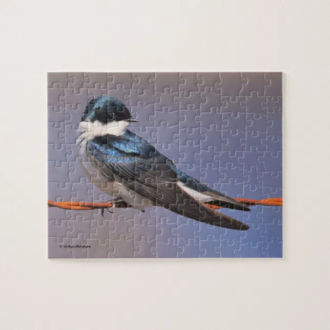 Sunlit Profile of a Tree Swallow Songbird Jigsaw Puzzle