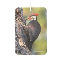 Beautiful Pileated Woodpecker on the Tree Air Freshener