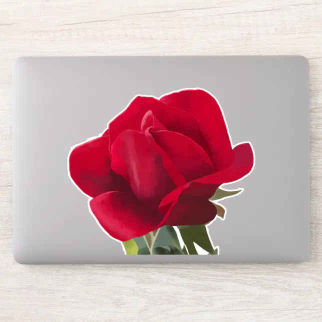 Carré Rose rouge - Red rose  Sticker