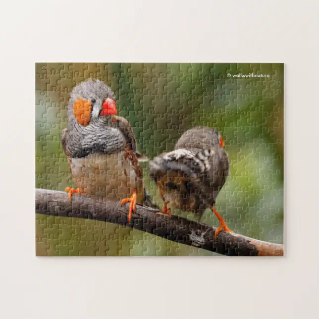 A Cheeky Pair of Zebra Finches Jigsaw Puzzle