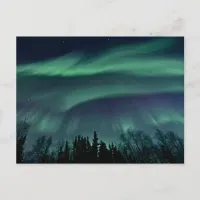 Northern Lights of Alaska, ZTD Postcard