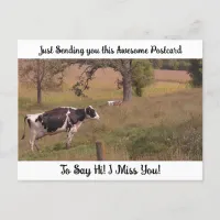 Cow in a Field "I Miss YOU" Saying Hi  Postcard