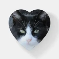 Personalized Cat Photo Paper Weight
