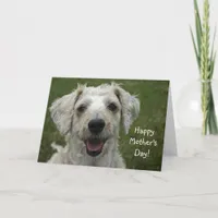 Happy Mother's Day from Dog Card