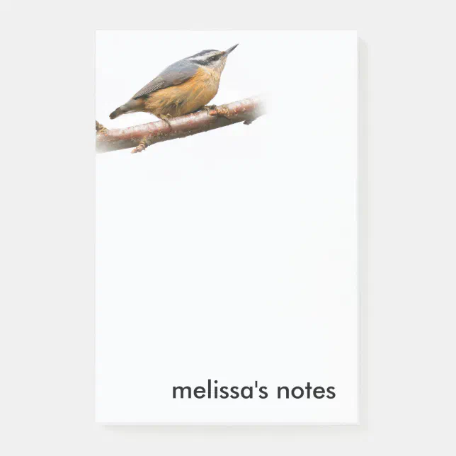 Beautiful Red-Breasted Nuthatch on a Branch Post-it Notes
