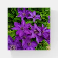 Pretty Purple Flowers  Paperweight