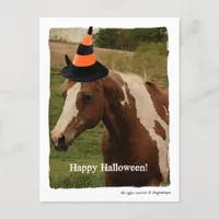 Halloween Paint Horse Postcard