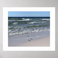 Beach Bird Photography Fine Art Poster Print