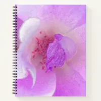 *~* Digitally Modified Rose from Pink to Lavender Notebook