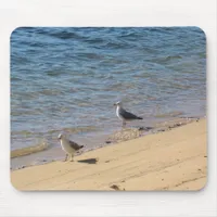 Coastal Beach Seascape Mouse Pad