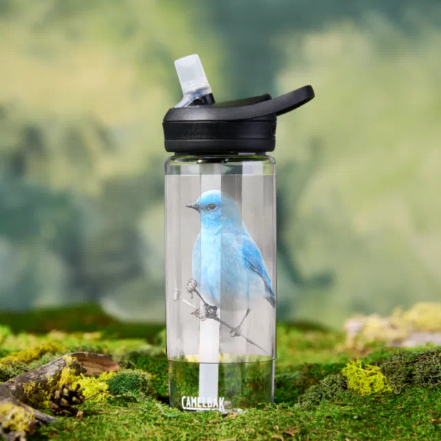 Beautiful Mountain Bluebird Songbird at the Beach  Water Bottle