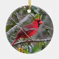 When a Cardinal Appears a Loved one from Heaven is Ceramic Ornament