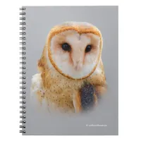 A Serene and Beautiful Barn Owl Notebook