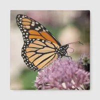 Monarch Butterfly and Bumble Bee Magnet