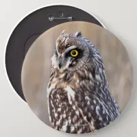 Portrait of a Short-Eared Owl Button