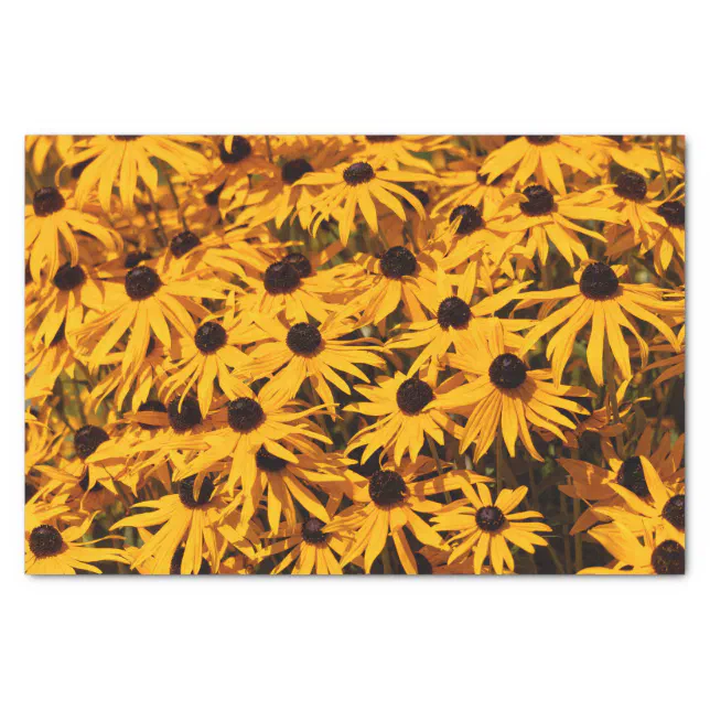 Beautiful Rudbeckias Yellow Coneflowers Tissue Paper