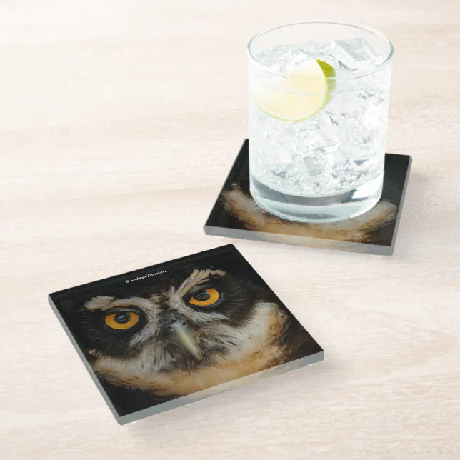 Mesmerizing Golden Eyes of a Spectacled Owl Glass Coaster