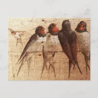 Barn Swallows Postcard