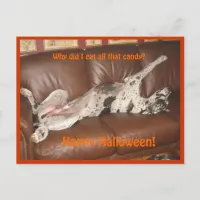 Great Dane Ate Too Much Halloween Candy Postcard