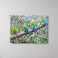 Birds - budgies canvas print