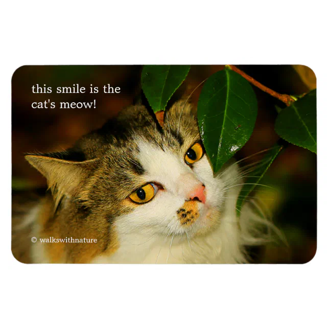 Whimsical The Cat and the Camellia Magnet