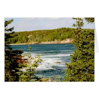 Arcadia National Park Through the Trees