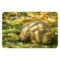 A Cute Capybara Dreams in the Summer Sun Magnet