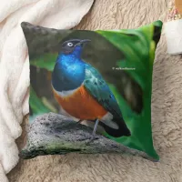 A Stunning African Superb Starling Songbird Throw Pillow