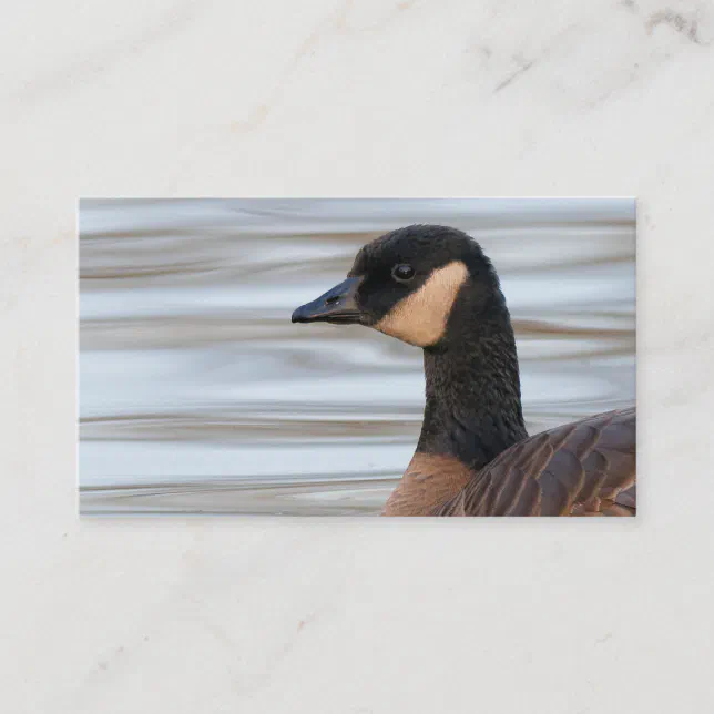 Profile of a Cackling Goose Business Card