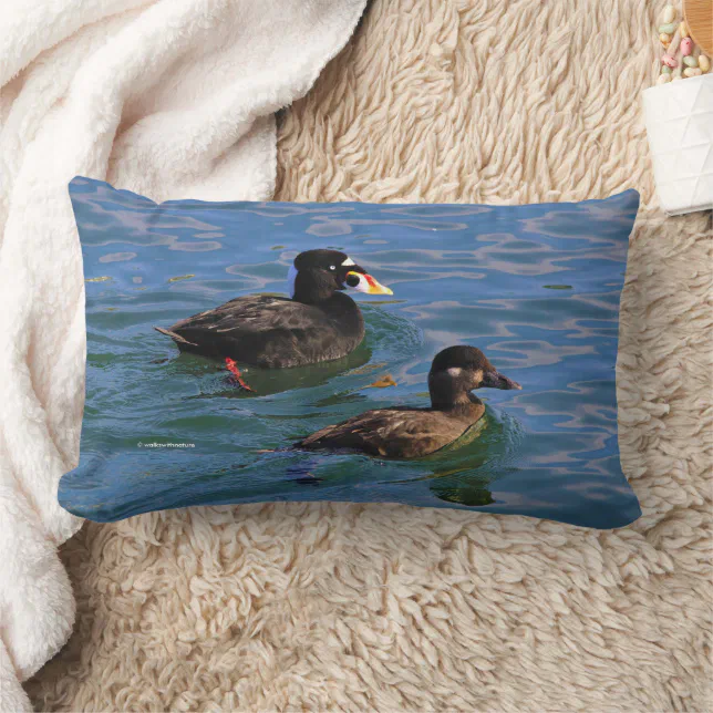Male and Female Surf Scoter Ducks at the Pier Lumbar Pillow