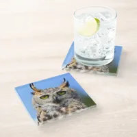 Staring Contest with a Beautiful Great Horned Owl Glass Coaster