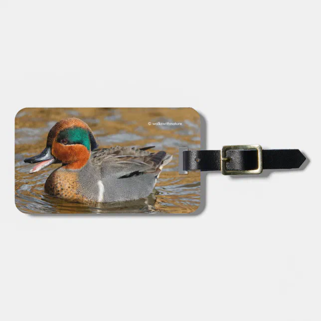 A Chatty Green-Winged Teal Duck at the Pond Luggage Tag