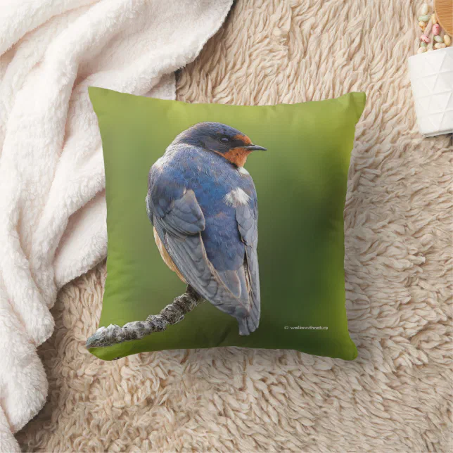 Barn Swallow on a Branch Throw Pillow