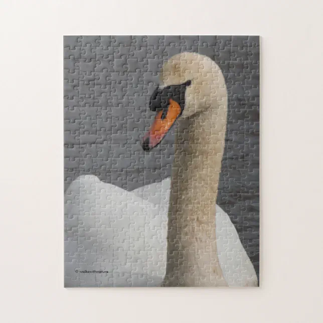 Stunning Closeup of a Mute Swan in Harbour Jigsaw Puzzle