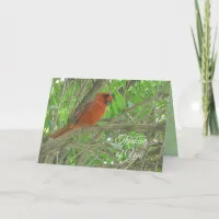 Thinking of You | Cardinal Sitting on Tree Branch  Card