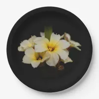 Elegant Satin Flowers on Black Paper Plates